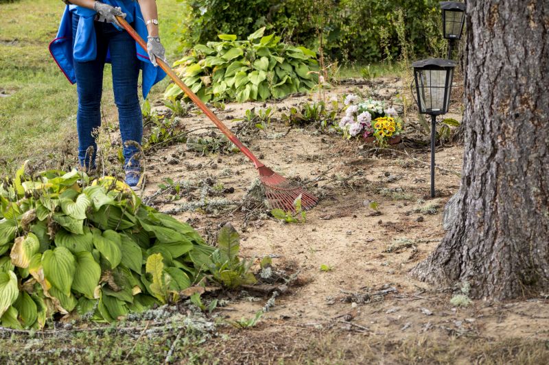 Thatch and Overgrowth Clearing