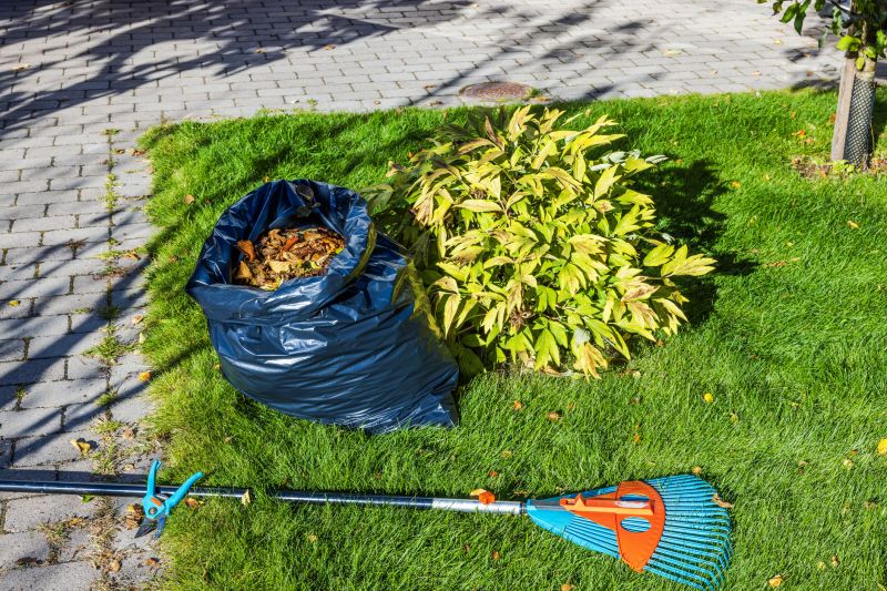 Seasonal Lawn Maintenance