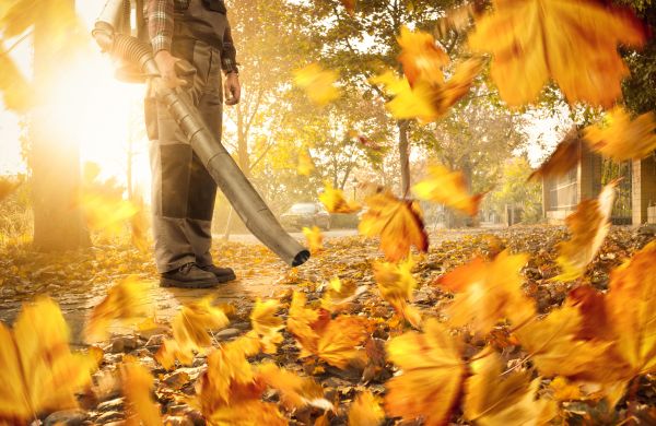 Cost of Leaf Blowing Service in Douglasville