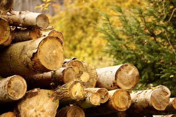 Wood Pile Removal in Douglasville