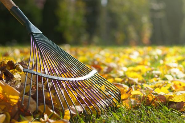 Cost of Leaf Raking Service in Douglasville