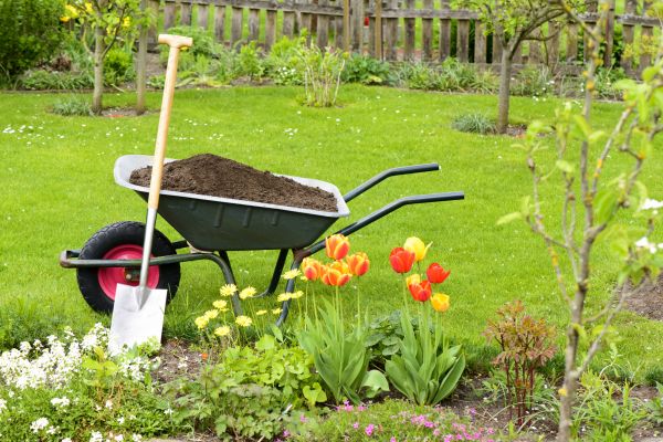 Cost of Spring Yard Cleanup in Douglasville