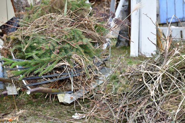 Yard Waste Removal Service in Douglasville