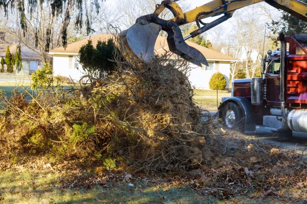 Storm Debris Removal in Douglasville