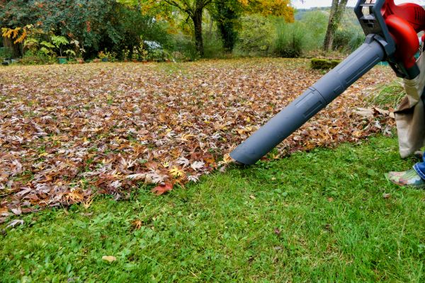 Cost of Leaves Vacuuming in Douglasville