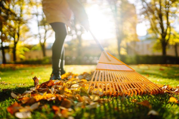 Cost of Leaves Raking in Douglasville