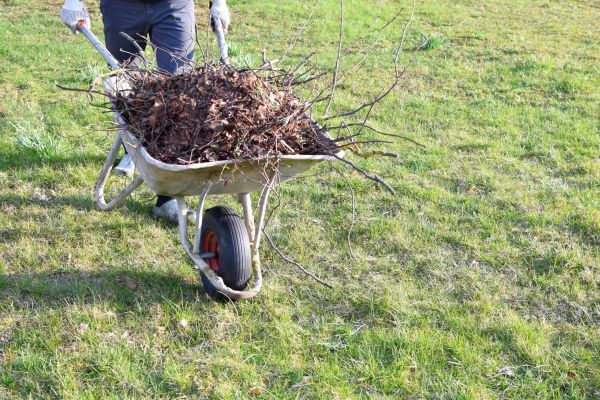 Yard Brush Removal in Douglasville