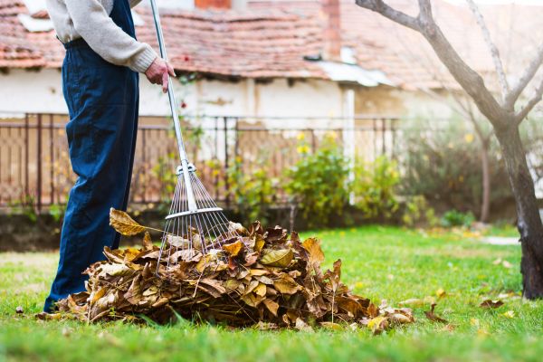 Cost of Spring Lawn Cleanup in Douglasville