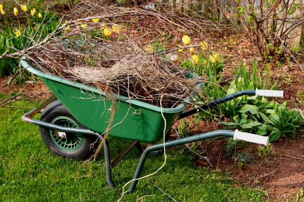Lawn Waste Removal in Douglasville