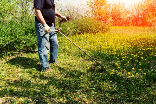 Cost of Yard Clearing Service in Douglasville